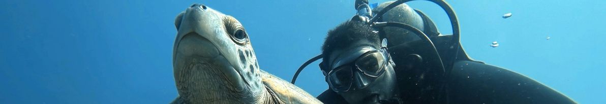 Plongée avec la faune marine